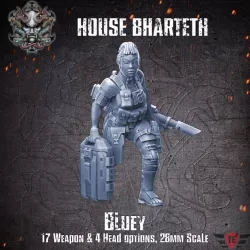 $5.00House Bharteth - Bluey