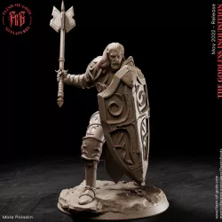 $5.00Male Human Paladin