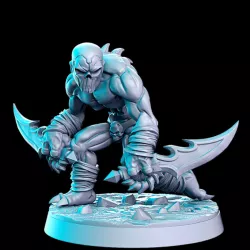 $5.00Shadow Stalker with dualblades (Undead Assassin) - 32mm - DnD