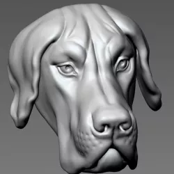 $8.00Grand Dane Head