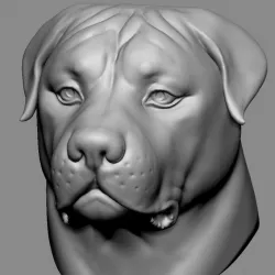 $8.00Rottweiler Head