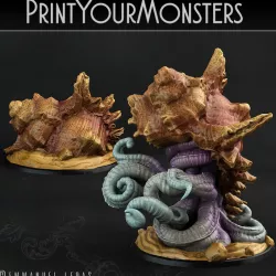 $9.00WHIPSTING OCTOPUS + SPIRAL CROWN SHELL