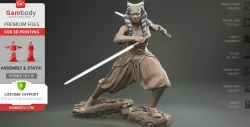 Ahsoka Tano 3D Printing Figurine | Assembly