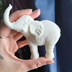 Baby Elephant