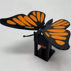 Butterfly Automaton