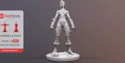 Cammy 3D Printing Miniature | Assembly