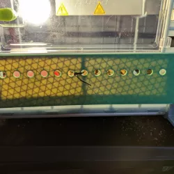 Cimuka/Hatching Time 9.5" Brooder Blocker