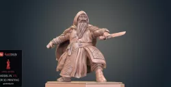 Dwarf Rogue Warrior 3D Printing Figurine | Static