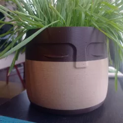 flower pot with a face