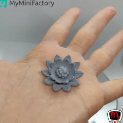 FREE Lotus Flower | Symbol Of Peace, Transformation, Rebirth, Purity...