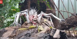 Gray Widower 3D Printing Miniature | Assembly