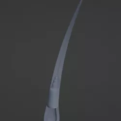 Hair Anatomy