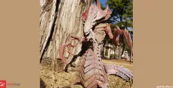 Hydralisk 3D Printing Figurine | Assembly