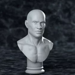 Male Academic Bust