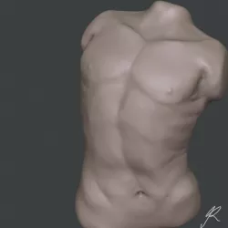 Man's Torso