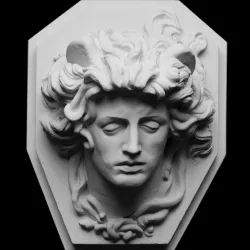 Medusa's Head