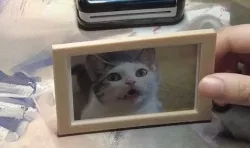 Picture frame