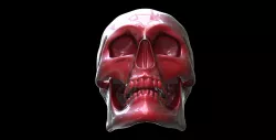 Printable Realistic Skull