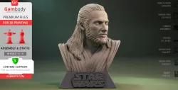Qui-Gon Jinn Bust 3D Printing Figurine | Assembly