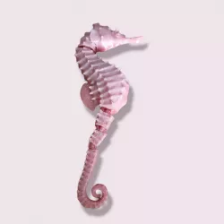 Sea Horse Chingle