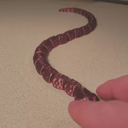 Slithery Snake
