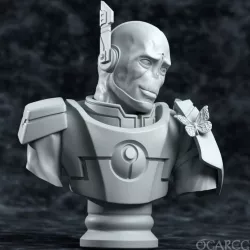 Tau with butterfly Bust
