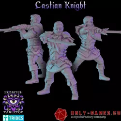 $10.00Castian Knights
