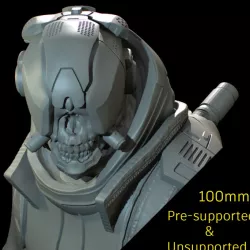 $10.00Cyberpunk Skull Bust