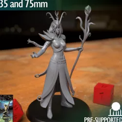 $10.00Elf Wizard