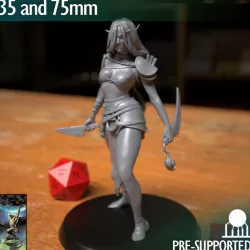 $10.00Rogue Drow Elf