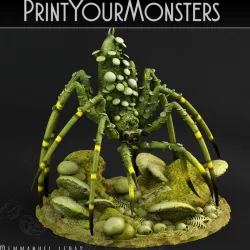 $15.00DANCING TOADSTOOL SPIDER