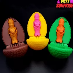 $2.50Dicky Surprise Mrs Dick