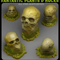 $2.50GIANT SKULL STONES