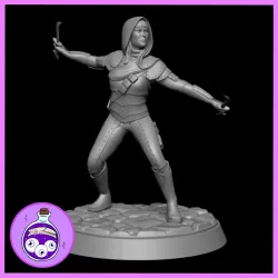 $2.50Rogue Assassin