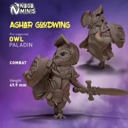 $2.99(Pre-supported) Owl Folk Paladin