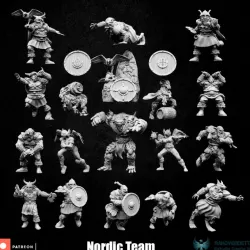$22.00Nordic team