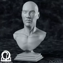 $3.00Academic Human bust, presupported