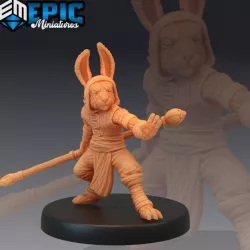 $3.90Bunny Monk / Rabbit Warrior / Rodent Fighter/ Hare Army