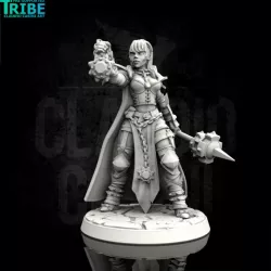 $3.90Female elf human half orc tiefling cleric with club or mace (0088)