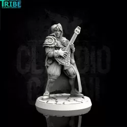 $3.90Male human elf tiefling half orc bard with lute (0082)