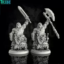 $3.90Male human orc half-orc barbarian warrior with sword and big axe (0093)