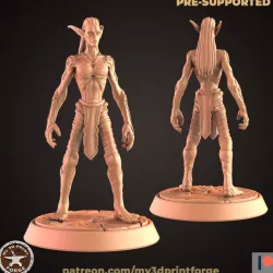 $3.90Nightfallen Elf Female