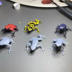 $3.99Poison dart frog