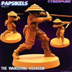 $3.99THE WANDERING ASSASSIN