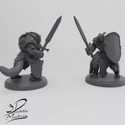 $4.00Dragonborn Paladin