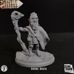 $4.00Gnome Druid - Roamin' Gnomes