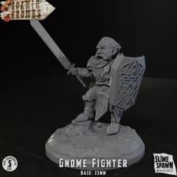 $4.00Gnome Fighter - Roamin' Gnomes