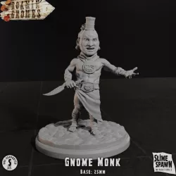 $4.00Gnome Monk - Roamin' Gnomes