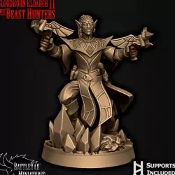 $4.00Sanguine Indictor D