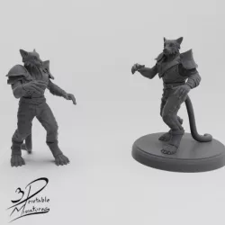 $4.00Tabaxi Monk